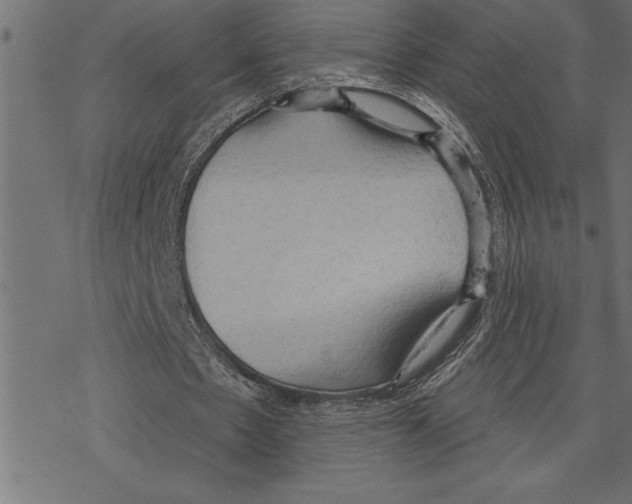 X0000078230481200612011543