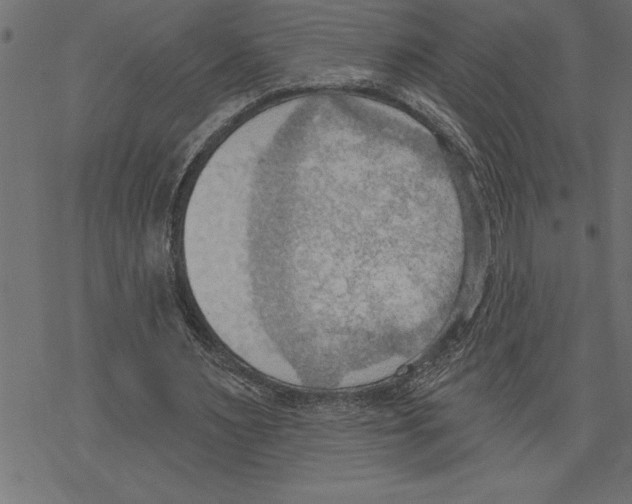 X0000078230483200612011543