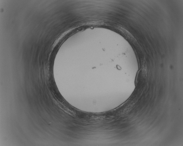 X0000078230484200612011543