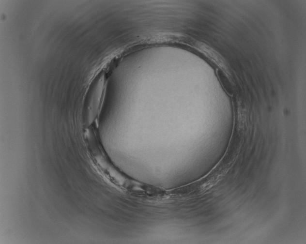 X0000078230485200612011543