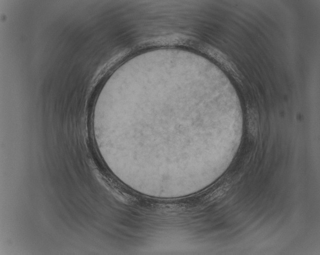 X0000078230486200612011543