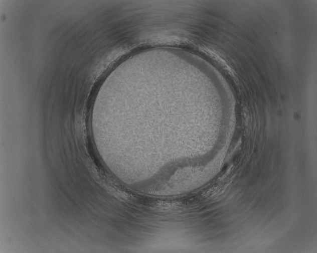 X0000078230487200612011543