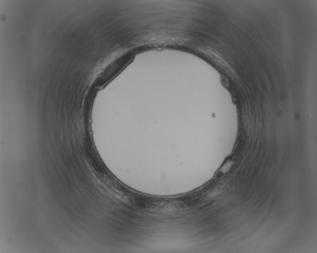 X0000078230488200612011543