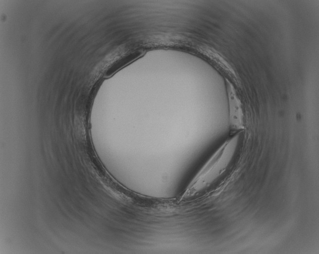 X0000078230489200612011543