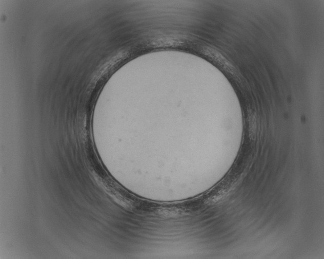 X0000078230490200612011543