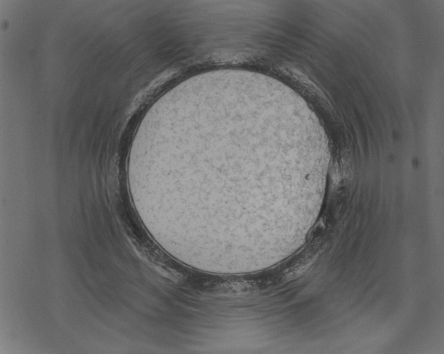 X0000078230492200612011543