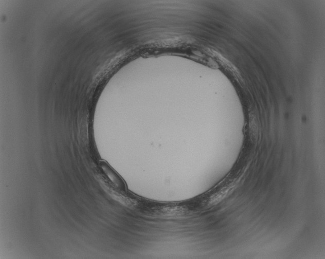 X0000078230493200612011543