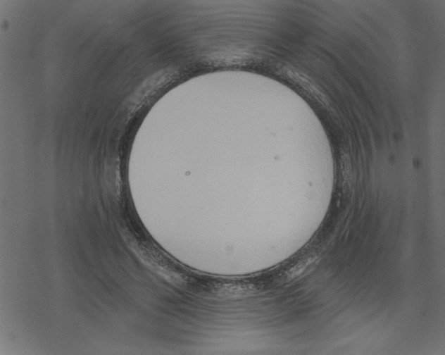 X0000078230494200612011543