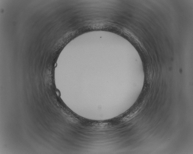 X0000078230497200612011543