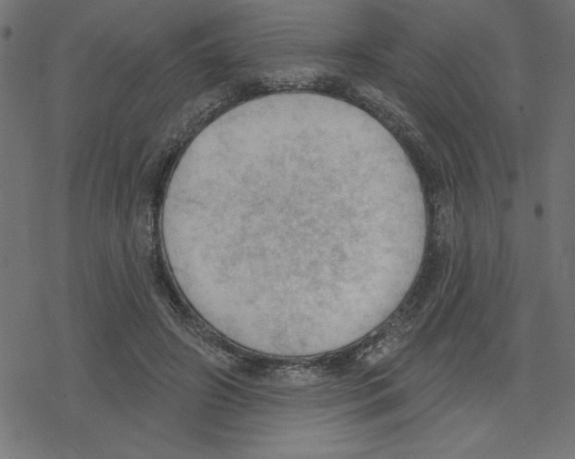 X0000078230498200612011543