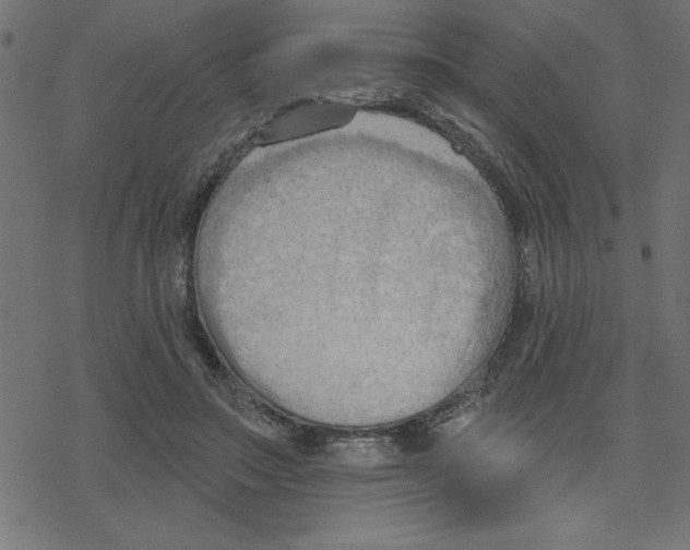 X0000078230499200612011543