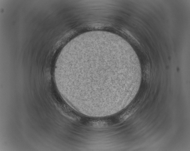 X0000078230500200612011543