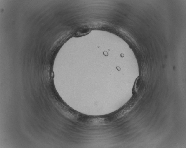 X0000078230501200612011543