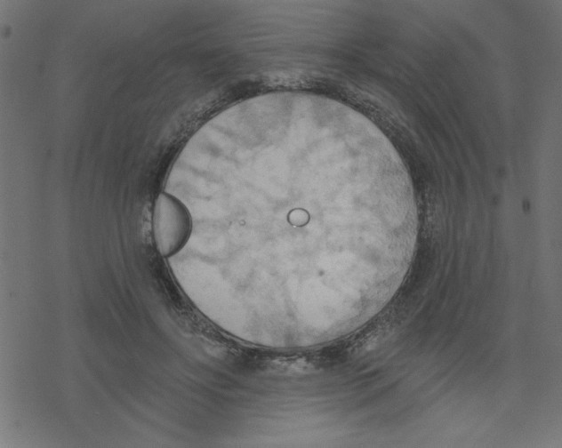 X0000078230502200612011543