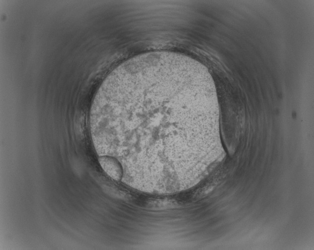 X0000078230503200612011543