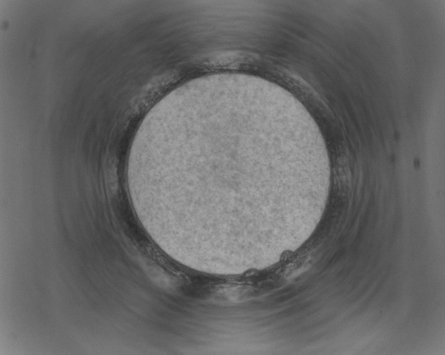 X0000078230504200612011543