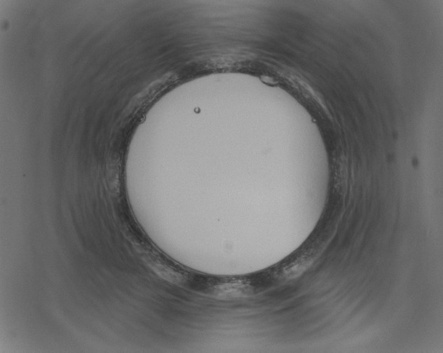 X0000078230505200612011543