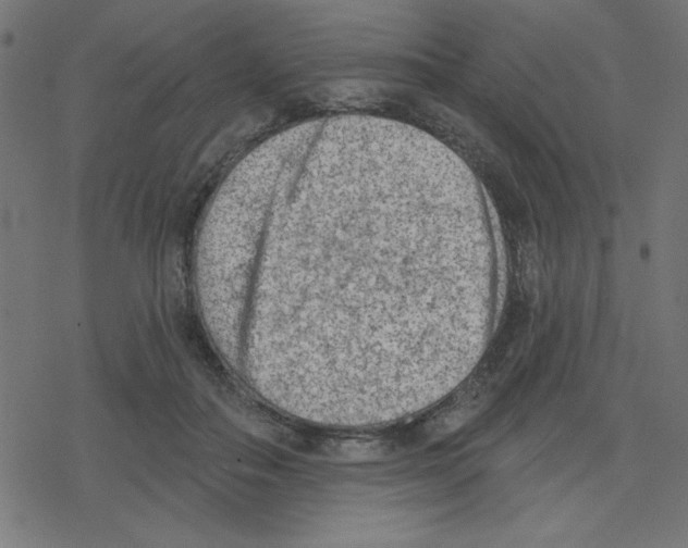 X0000078230506200612011543