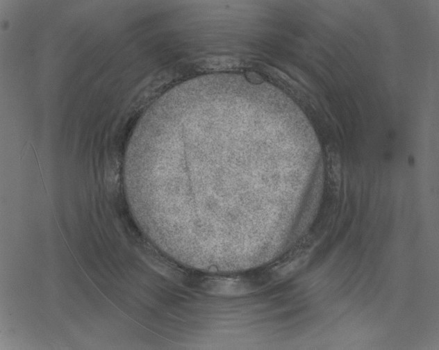 X0000078230507200612011543