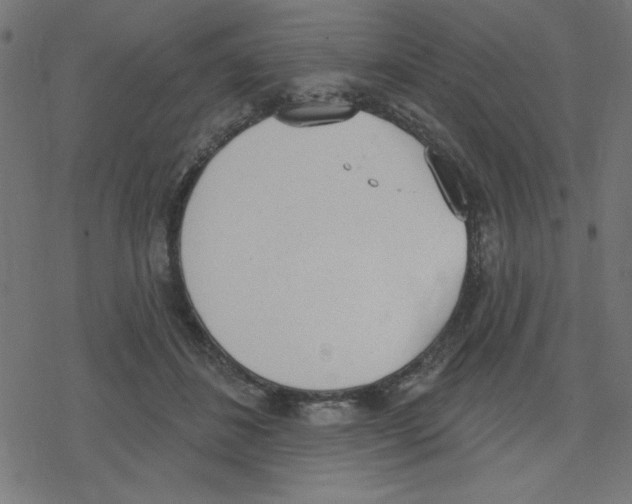 X0000078230508200612011543