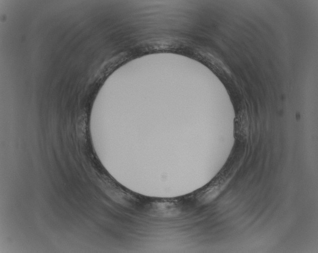 X0000078230509200612011543