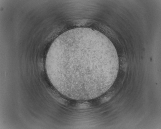 X0000078230510200612011543