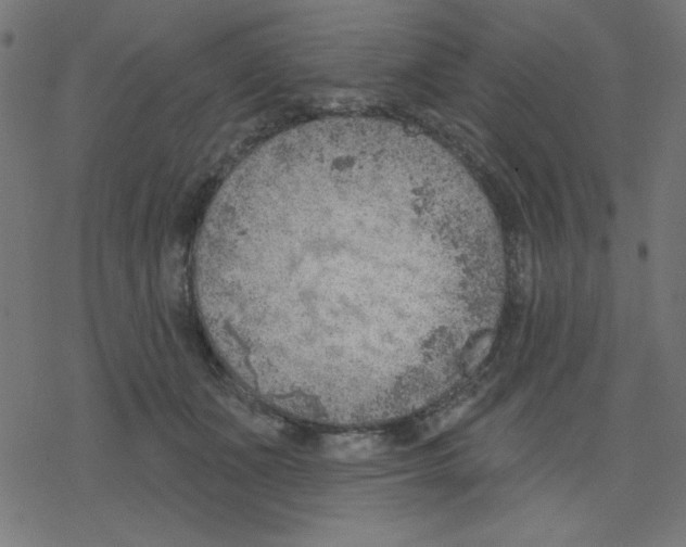 X0000078230511200612011543