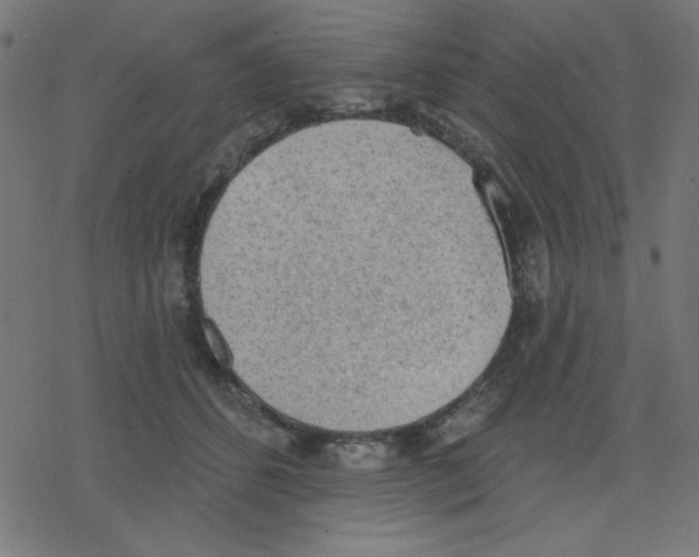 X0000078230512200612011543