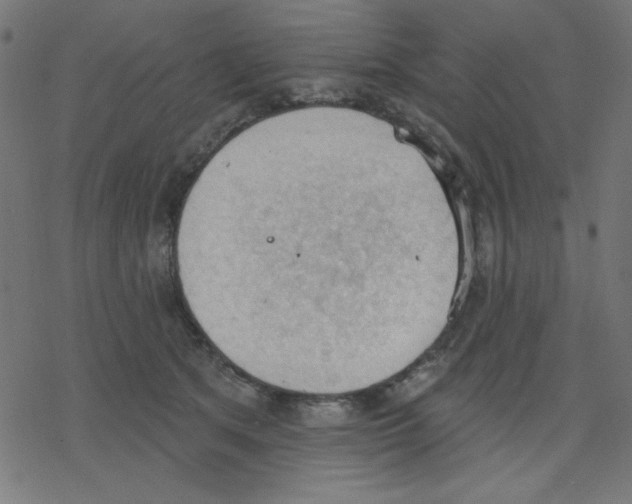 X0000078230513200612011543