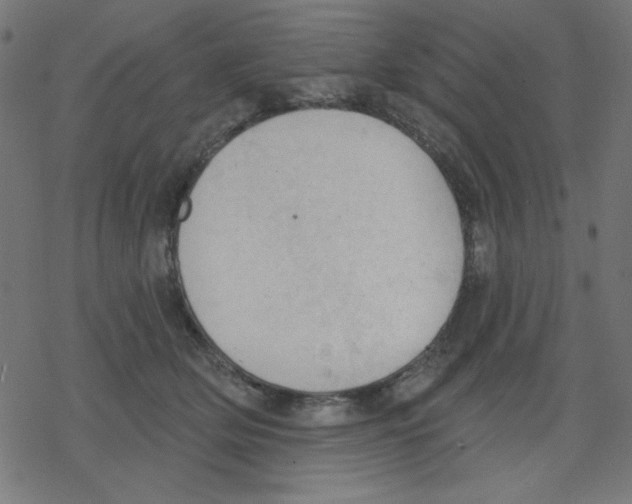 X0000078230514200612011543