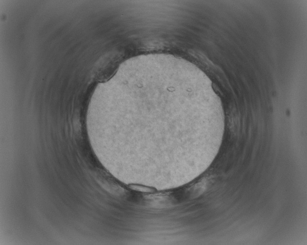 X0000078230516200612011543