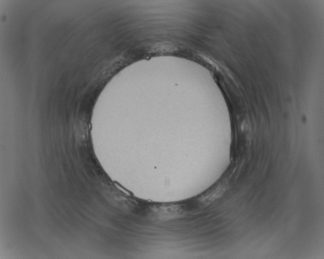 X0000078230517200612011543