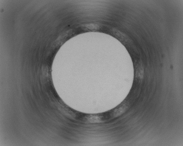 X0000078230518200612011543