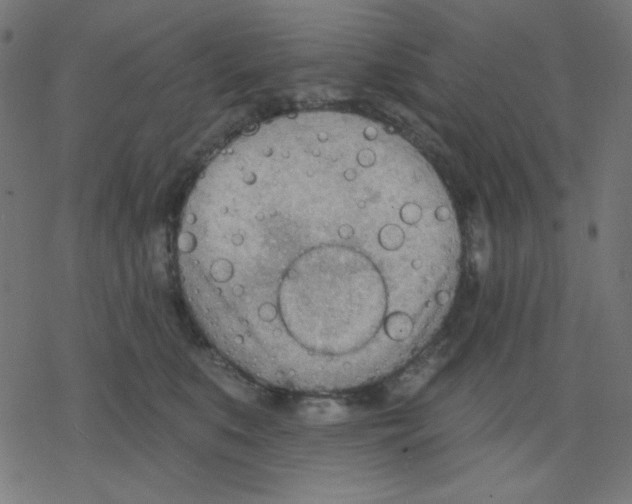 X0000078230519200612011543