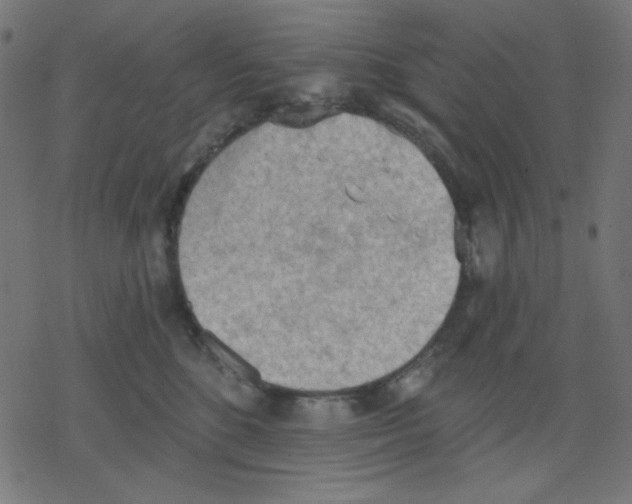 X0000078230520200612011543