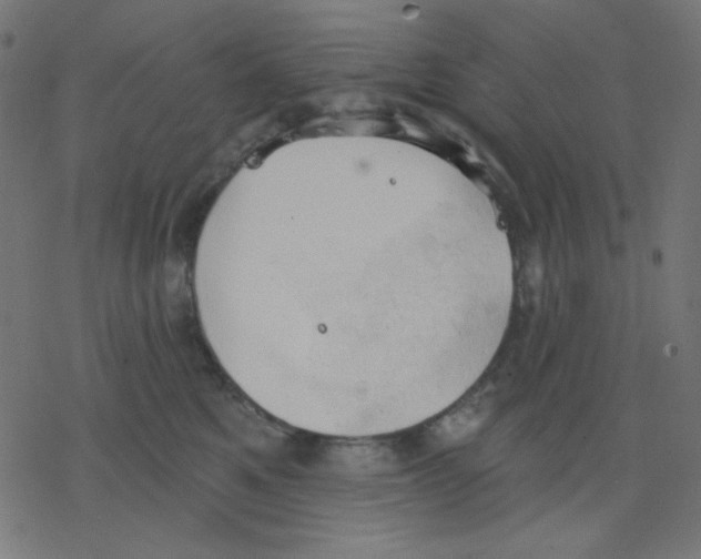 X0000078230521200612011543