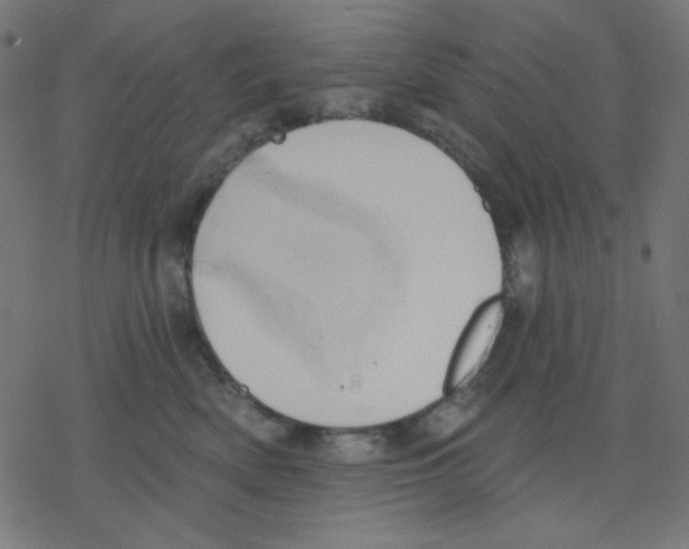 X0000078230522200612011543