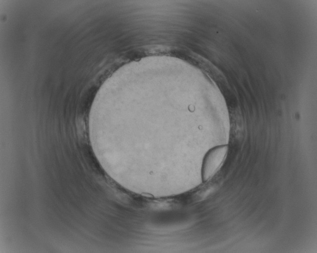 X0000078230523200612011543