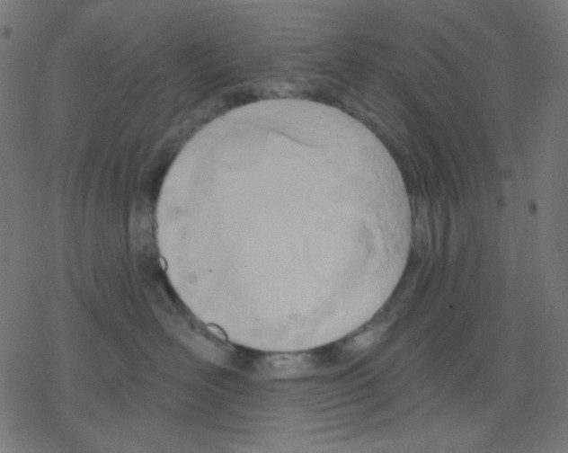 X0000078230526200612011543