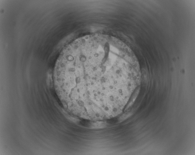 X0000078230527200612011543