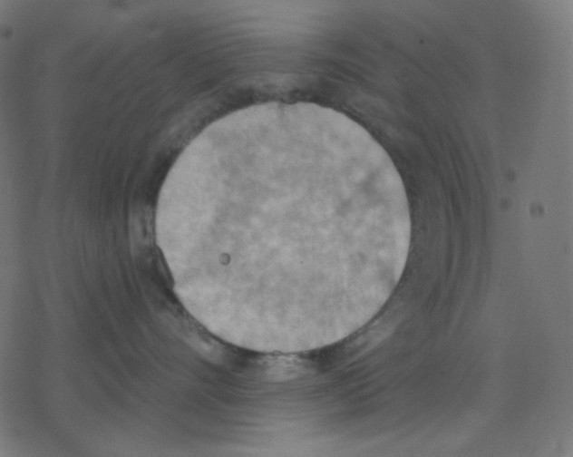 X0000078230528200612011543