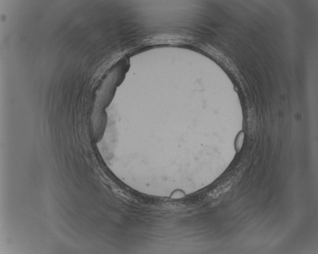 X0000078230529200612011542