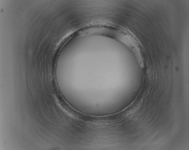 X0000078230530200612011542