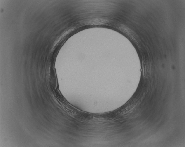 X0000078230531200612011542