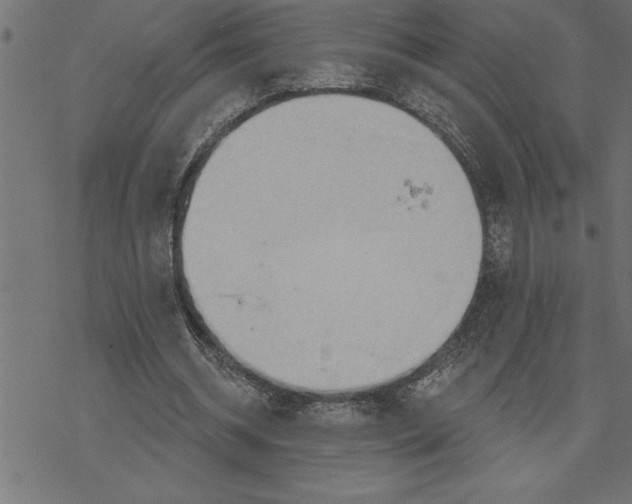 X0000078230534200612011542