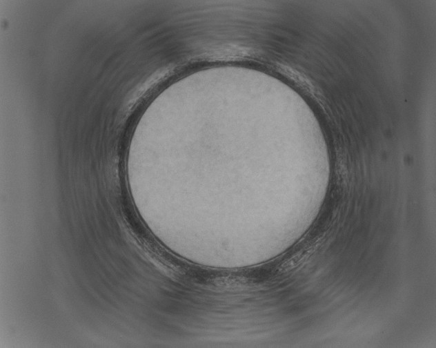 X0000078230535200612011542