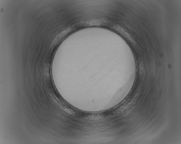 X0000078230537200612011542