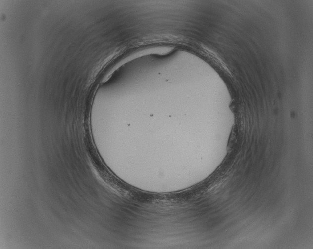 X0000078230538200612011542