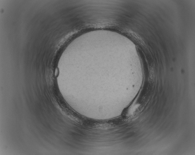 X0000078230540200612011542