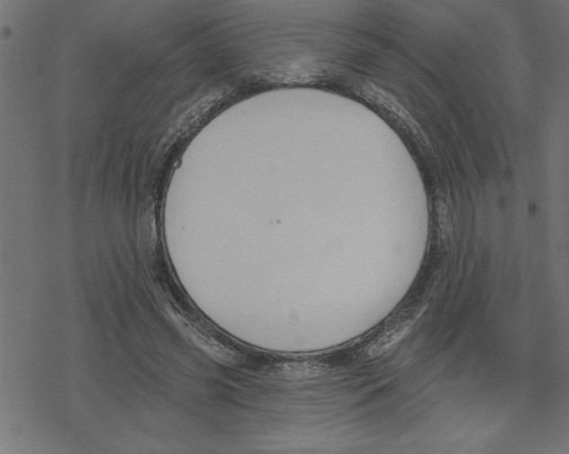 X0000078230541200612011542